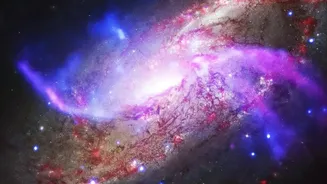 Webb's Little Red Dot Study Makes Hidden Galaxies a Timely Reader Check