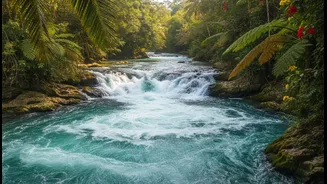 Malabar's Festival Shows Why River Sports Depend On Local Expertise