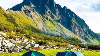 Backpacking North East India Living Root Bridges Homestays And Scenic Camping