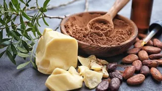 Cocoa butter in skincare: Benefits and uses