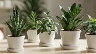 Thriving Greenery for the Time-Crunched: Top Low-Maintenance Indoor Plants That Can't Be Killed