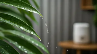 Experts Say Gentle Care Wins This Monsoon