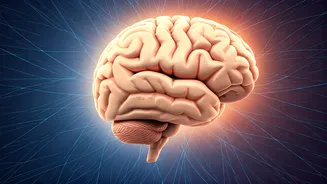 Boost Your Brain: 20 Minutes to a Sharper Mind!