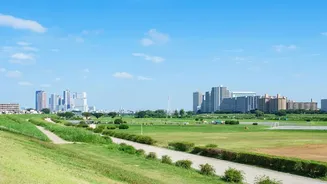 Creative No-Spend Weekend Activities Help City Dwellers Avoid Unnecessary Daily Outings