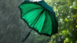 This Week's Rain-Alert Update: Covered Pick-Ups and Flexible Check-In Matter More than an Outdoor-Only Itinerary