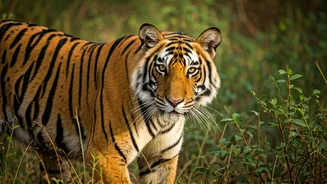 Related Stories banner