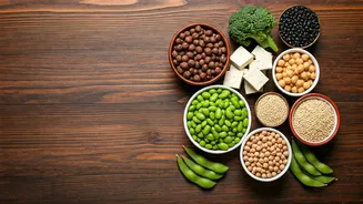 Fitness Coach's Guide: Vegetarian Protein Sources