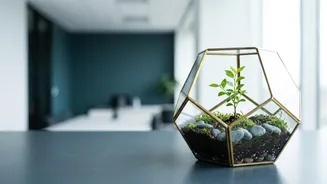 How Early Savings Habits Can Support Long-Term Goals