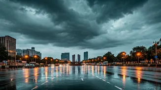 Delhi's January Rainfall: A Four-Year High