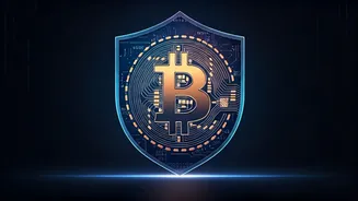 Quantum-Proof Bitcoin: Securing Digital Gold Without Disruptive Forks