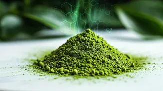 Matcha's Unexpected Allergy Ally: New Science Uncovers Sneeze Relief