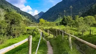 Obtain Inner Line Permits and respect eco stay rules in Ziro Valley