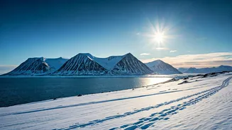 Svalbard: Your Ultimate Travel Guide for Timing Your Adventure