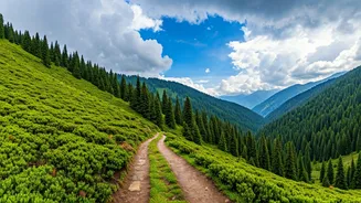 North India's Trails Are Better After Fresh Rain