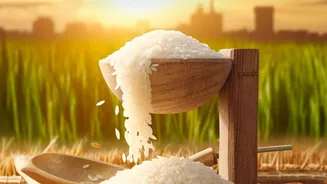 Punjab's Cotton-to-Paddy Shift: The Route From Cotton Diversification to Paddy Dependence