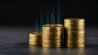 Sivakarthikeyan's 'Parasakthi': Box Office Slide & Overall Earnings