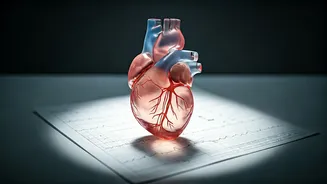 Related Stories banner