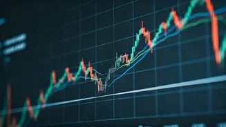 Decoding Share Price Dynamics: A Beginner's Guide