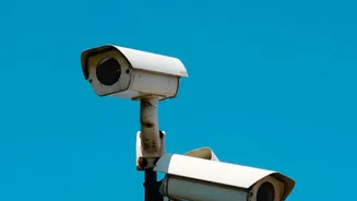 Personal Information Deserves Care Even On Trusted AI Platforms