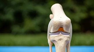 Yoga for Knees: Simple Asanas for Joint Health