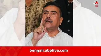 Bengal SIR Row: '.. মাইক্রো অবজার্ভারের সই জাল করা হয়েছে' ! SIR শুনানির শেষ দিনে গুরুতর অভিযোগ শুভেন্দুর