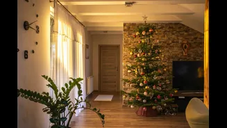 Tips to Improve Air Quality During Festive Celebrations