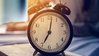 How Early Morning Sun Exposure Calibrates Body Clocks And Fixes Broken Sleep Patterns