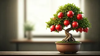 Pomegranate Bonsai: Cultivate Your Own Miniature Fruitful Tree at Home