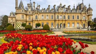 You must explore these enchanting castles in Estonia