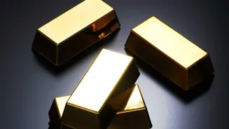Why Sovereign Gold Bonds Remain The Preferred Choice For Long Term Holding Tax Benefits