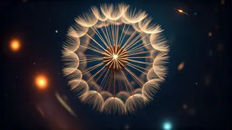Numerology Forecast May 13, 2026: Unforeseen Chances and What Your Numbers Say
