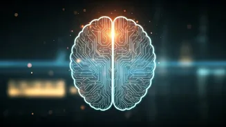 Beyond Algorithms: 6 Human-Centric Careers AI Can't Replicate