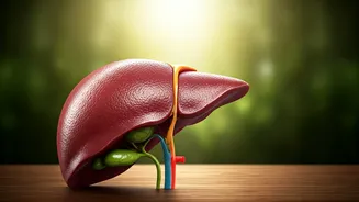 Empowering Women's Health: The Rise of Whole-Food Supplements and Organ Nutrition