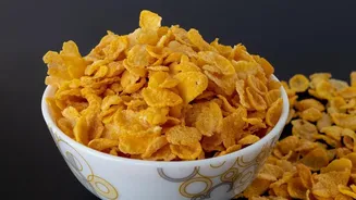 Why processed cereals cause sugar crashes while regional Indian breakfasts like poha provide lasting stamina