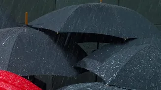 Delhi's Amrit Udyan And Monsoon Rain: What Visitors Need To Know