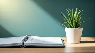 Related Stories banner