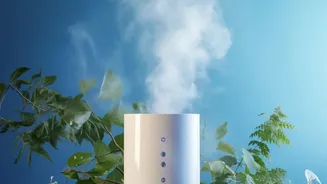 What To Consider When Choosing An Air Purifier For An Indian Home