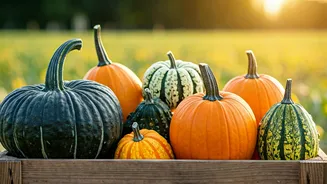 48 Years of Gourds: A Plant Breeder's Passionate Journey with Cucurbits