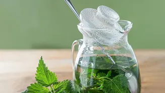 Cold-Brewed Botanical Teas: Merging Single-Estate Orthodox Leaves With Traditional Indian Herbs