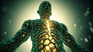 Unlock Longevity: 5 Science-Backed Strategies for a Healthier, Longer Life