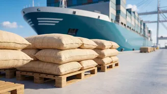 Rice Prices Depend On More Than Harvests When Trade Routes And Fuel Costs Shift