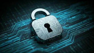 Understanding Website Security Checks: A Guide to Bot Verification