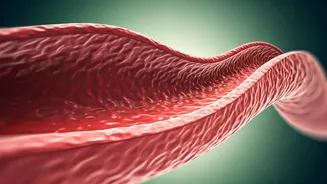 Related Stories banner