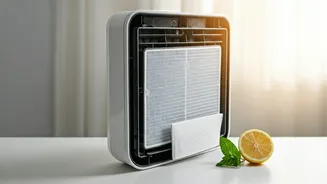 Banish Musty Odors: Your Ultimate Guide to Cleaning Your Air Cooler