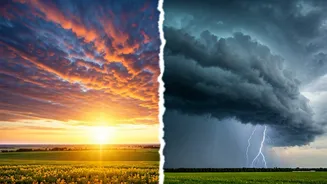 Delhi To Kerala, Check Weather Before Stepping Out