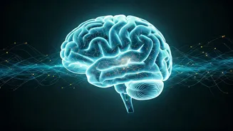 Sleep: Your Unseen Medicine - Why Cutting Corners on Rest Harms Your Health