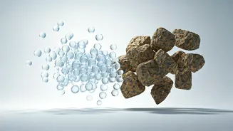 Fiber's Dynamic Duo: Unpacking Soluble vs. Insoluble for Optimal Health