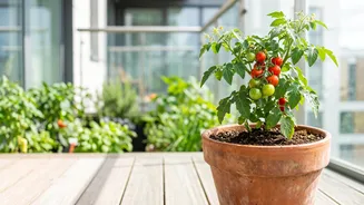 What Apartment Gardeners Should Know About Using Compost in Potting Mix