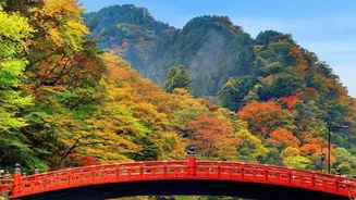 Japan Travel Planning Now Needs an Explicit Line for the Exit Tax