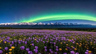 Nature's Greatest Show Is Waiting
